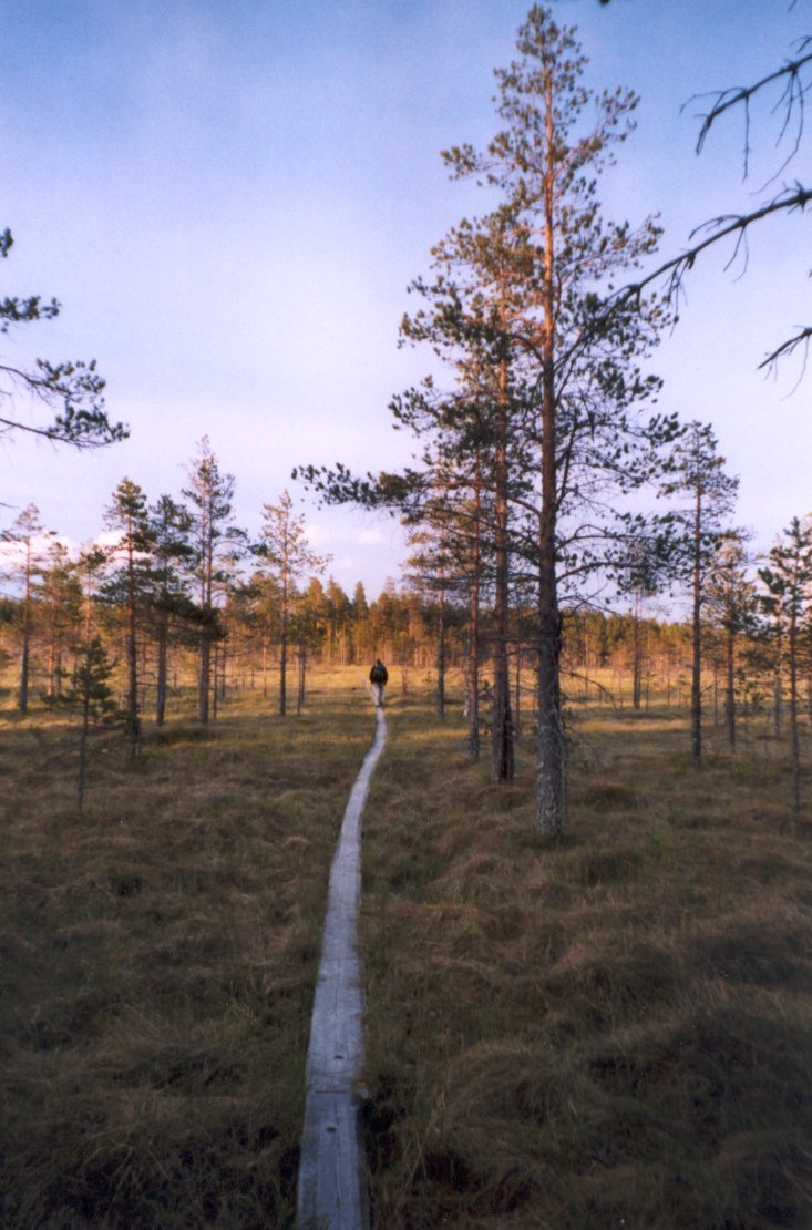 Salamajärvi National Park