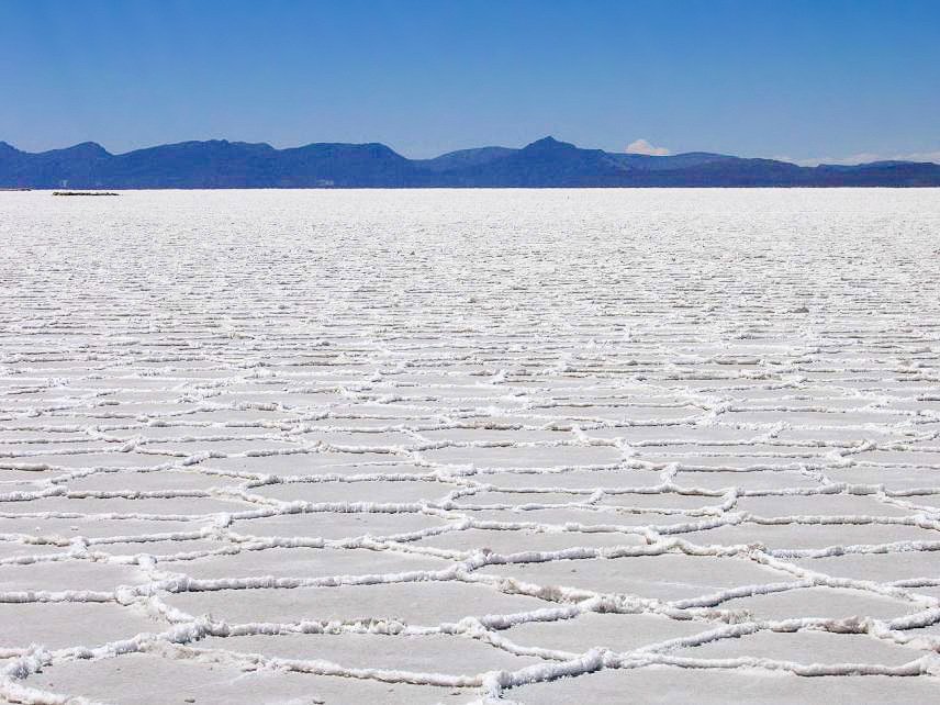 Salar de Coipasa