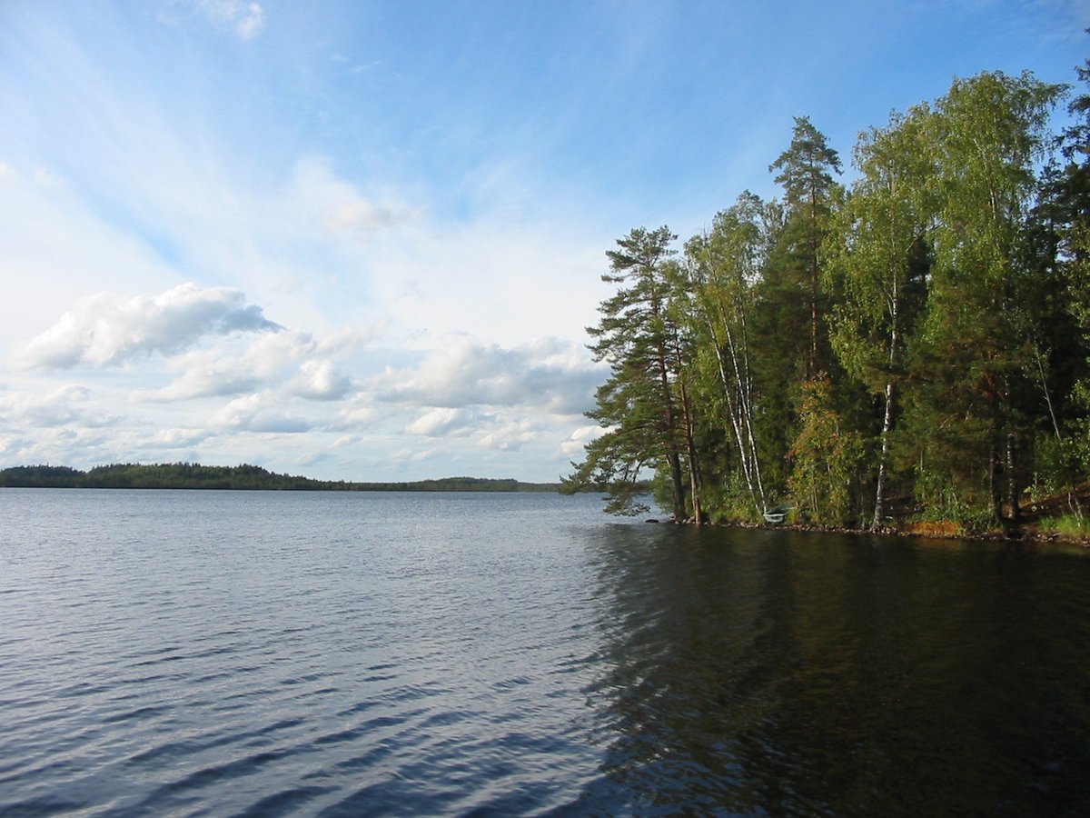 Kurjenrahka National Park