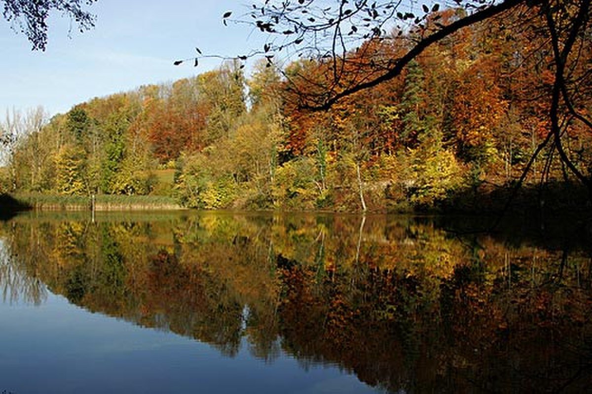 Baslerweiher