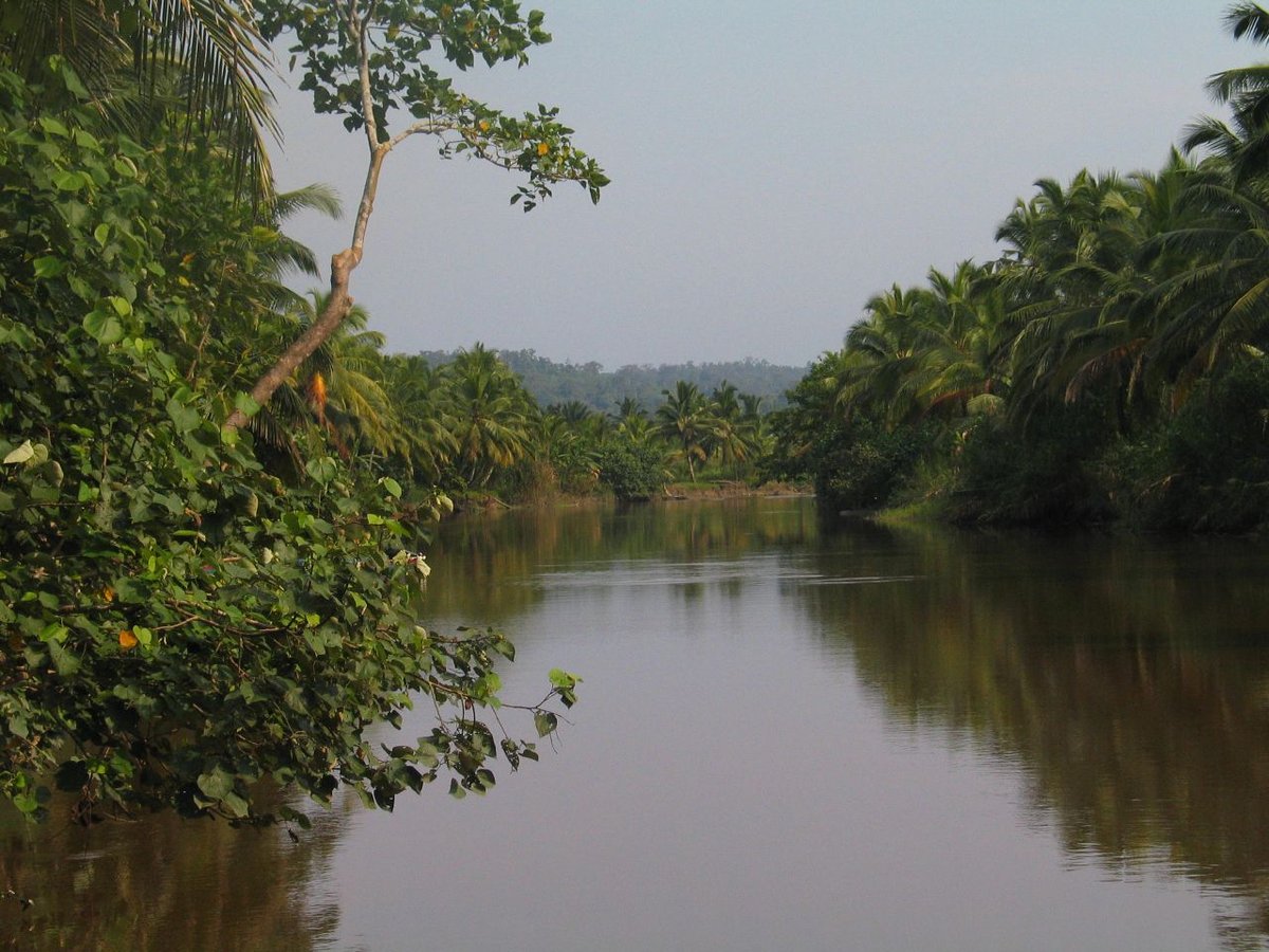 Siberut National Park
