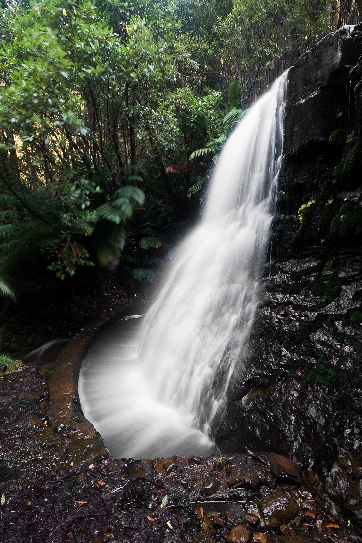 Silver Falls