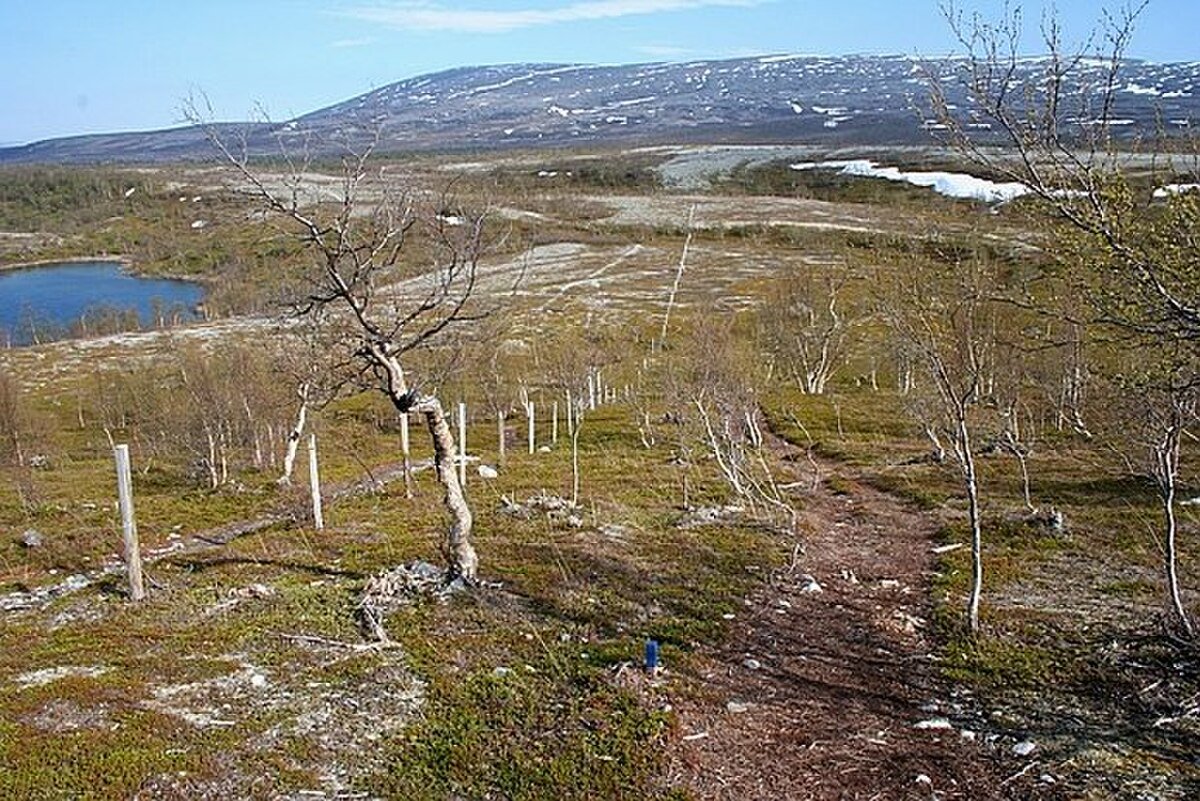 Stabbursdalen National Park