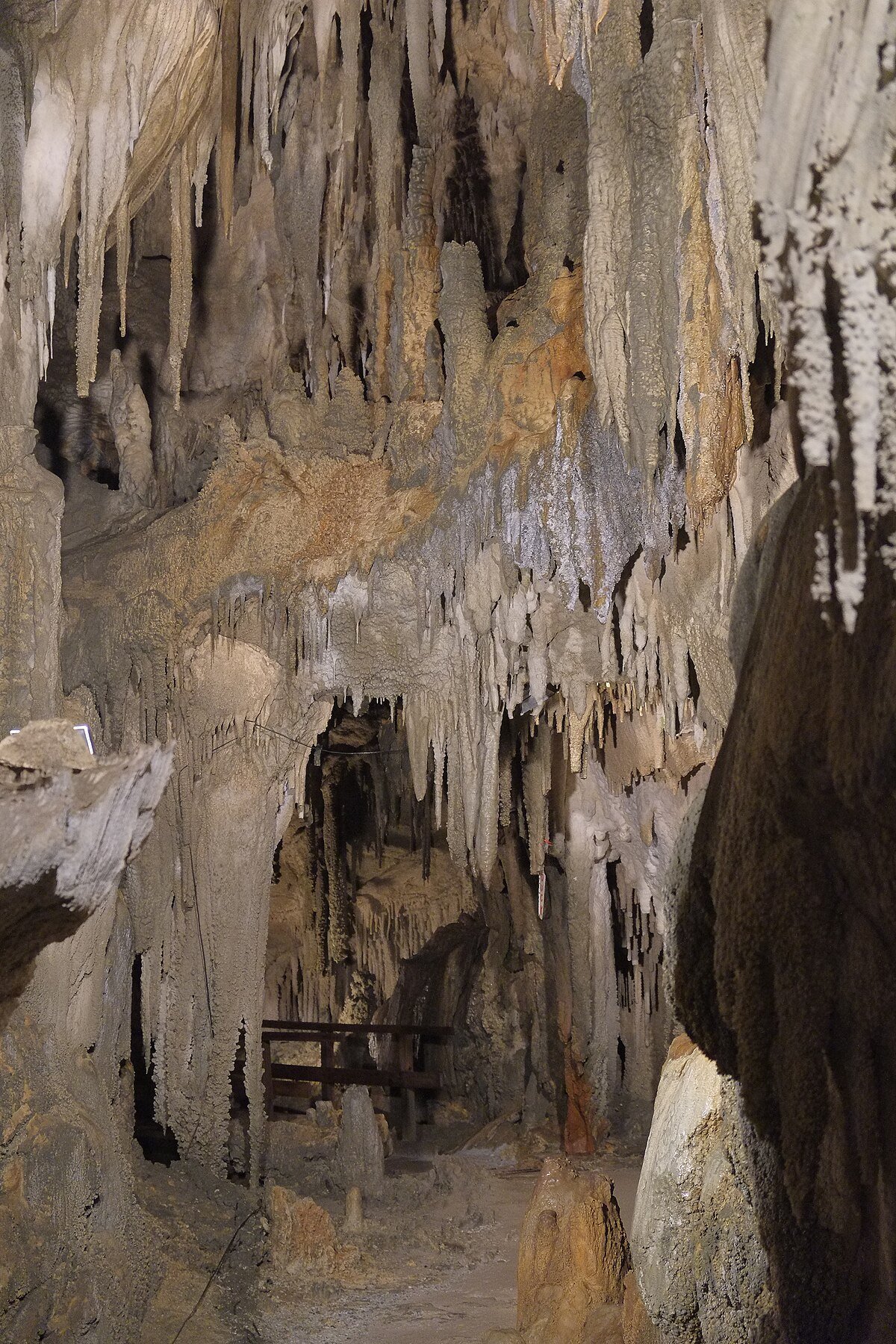 Ngarua Caves