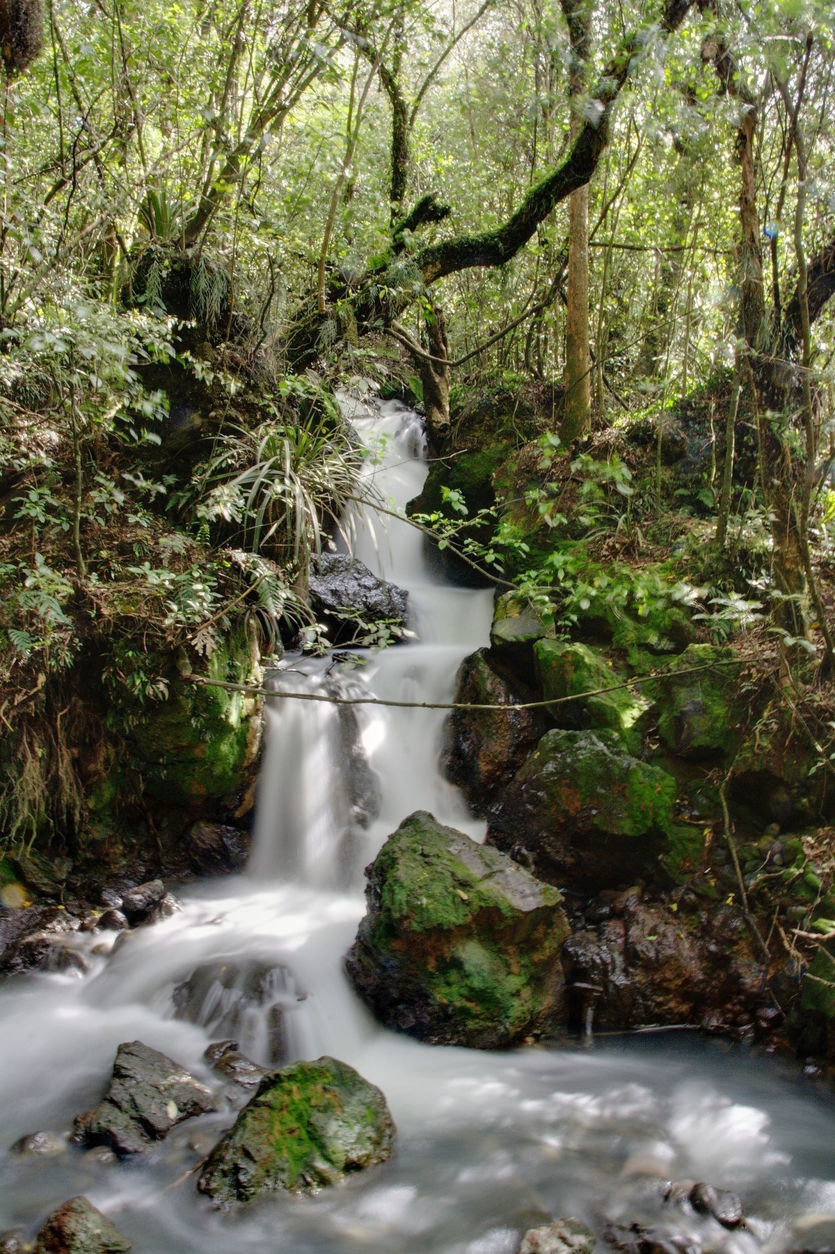 Ketetahi Falls