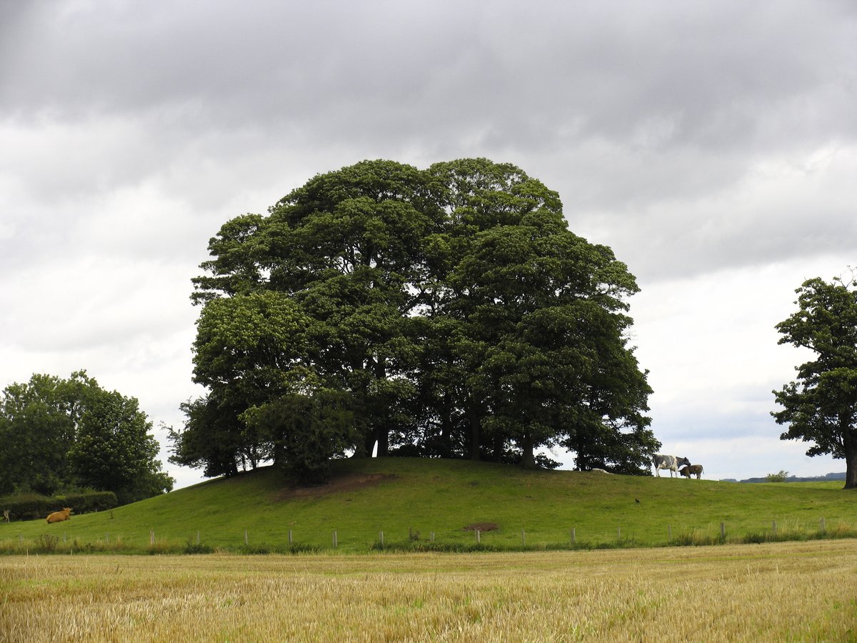 Aldborough Castle