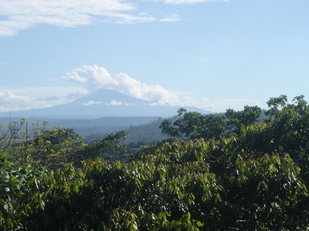 Sumaco