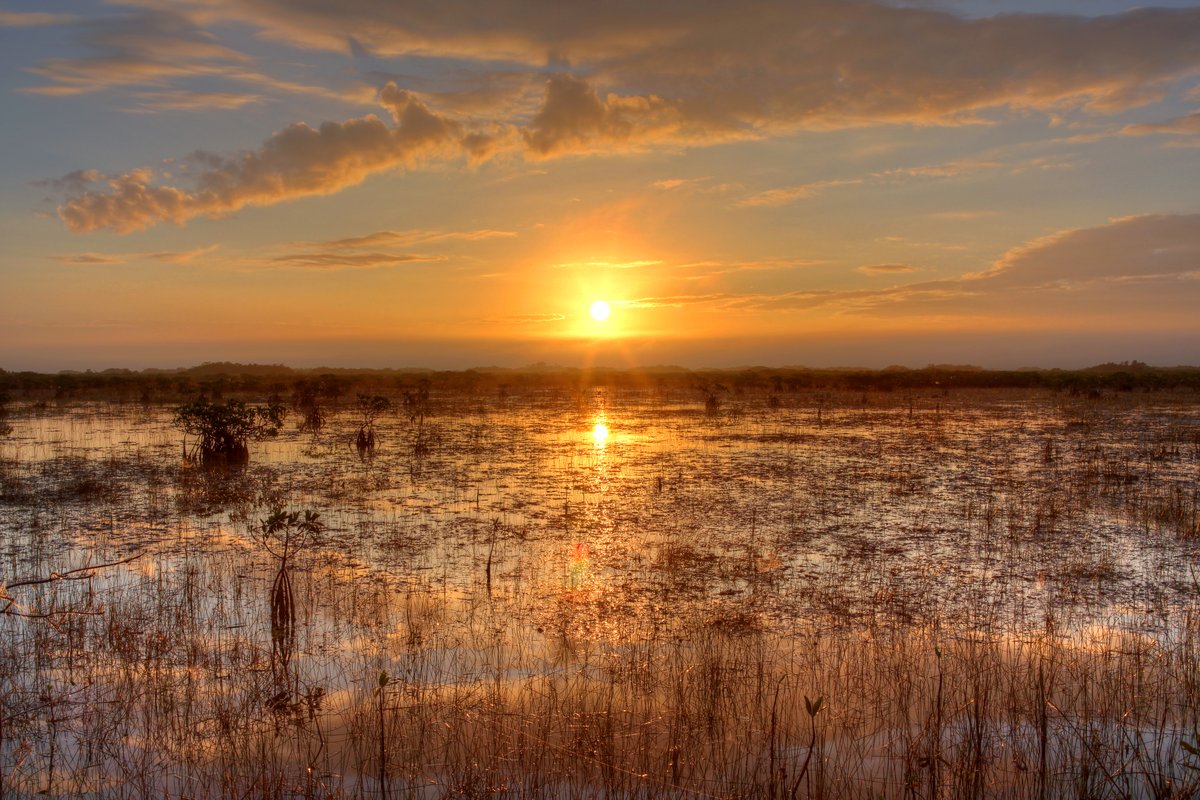 Everglades National Park