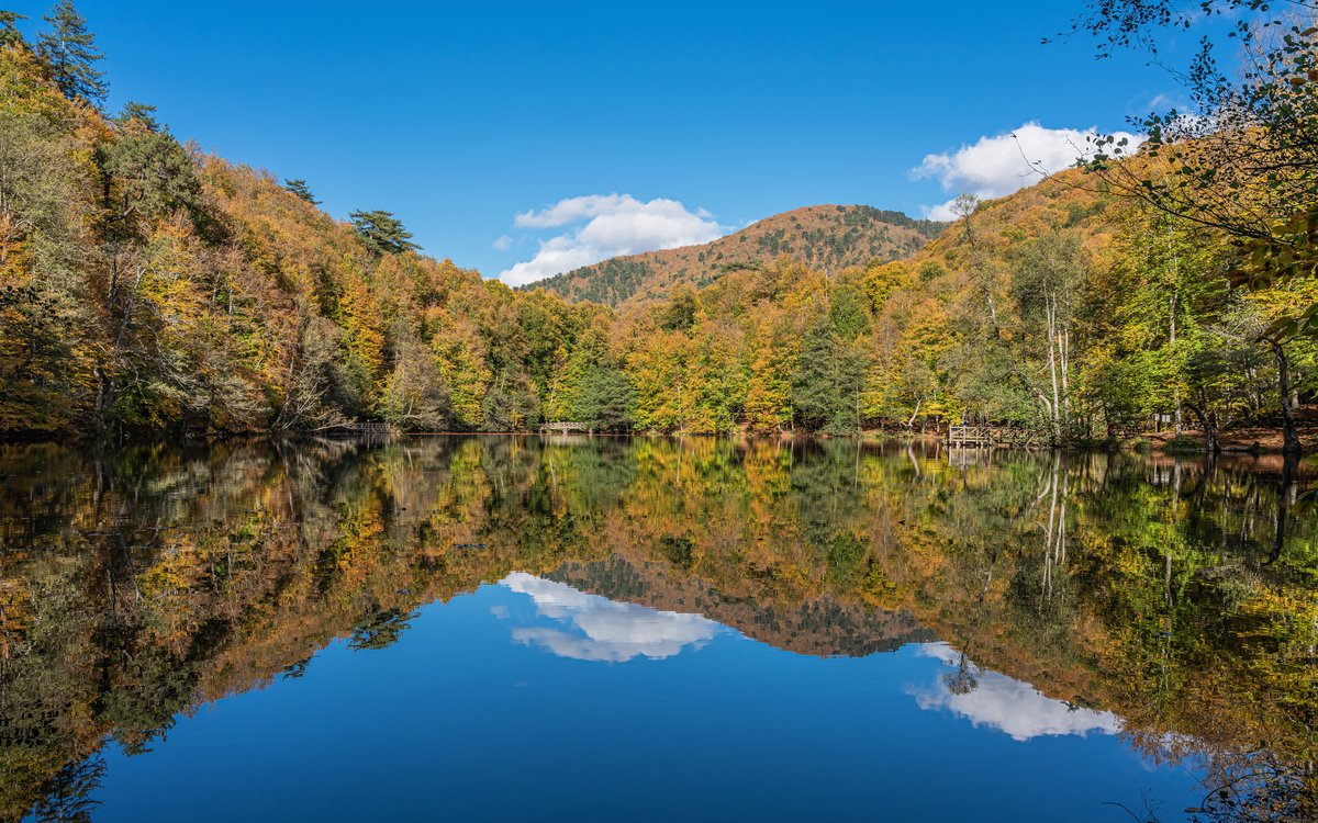 Yedigöller National Park