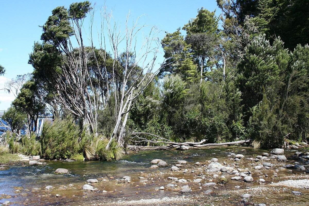 Te Ana-au Caves