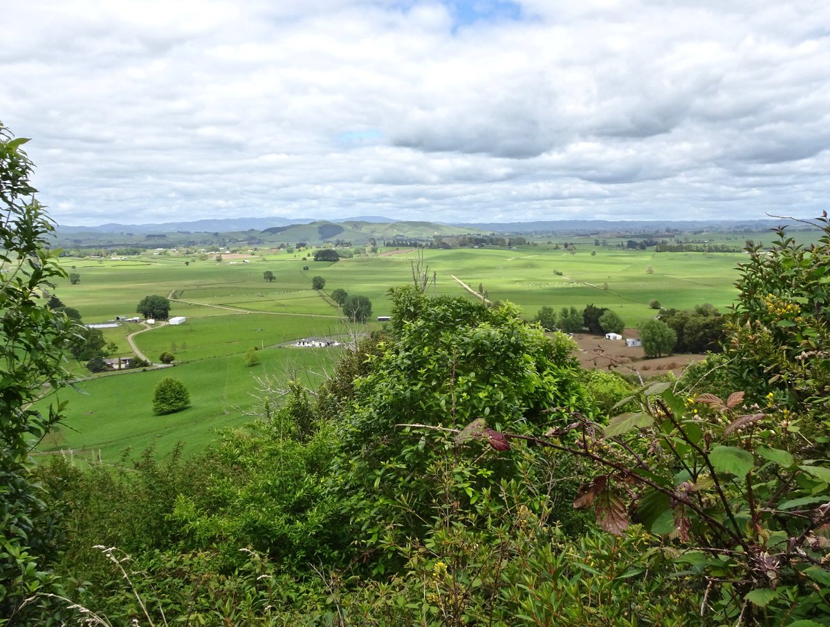 Kawa