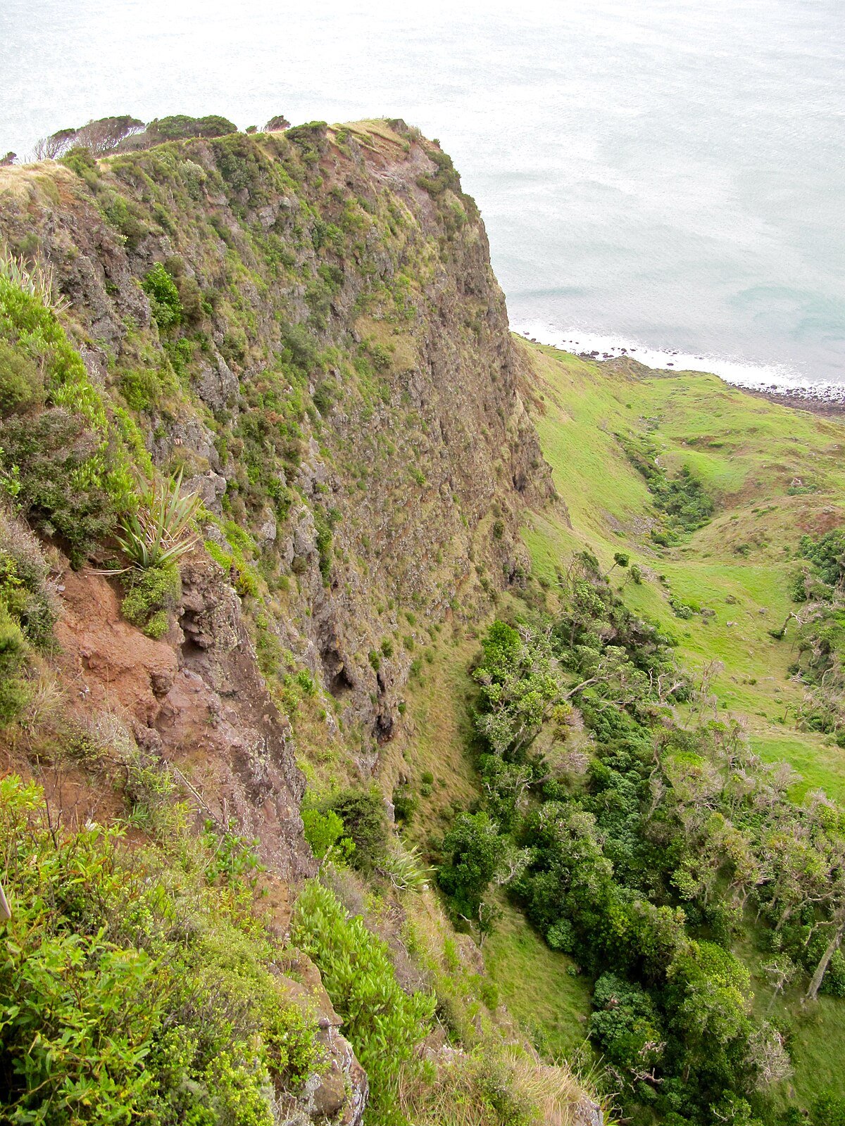 Te Toto Gorge Lookout