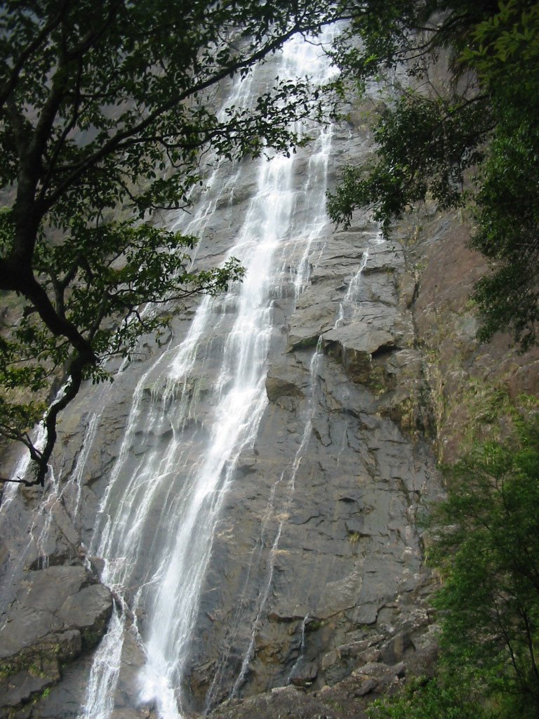 Bach Ma National Park