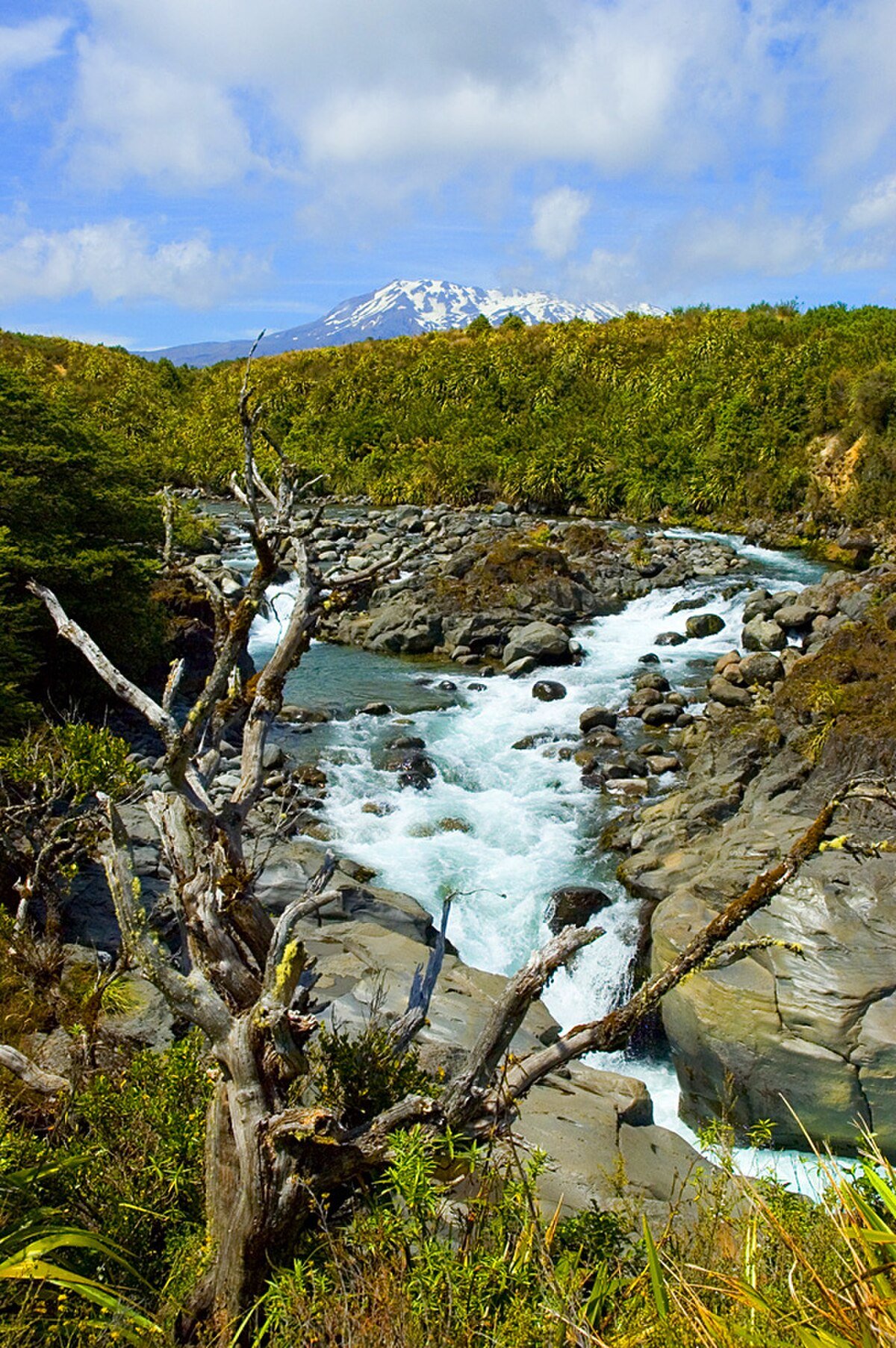 Tongariro National Park