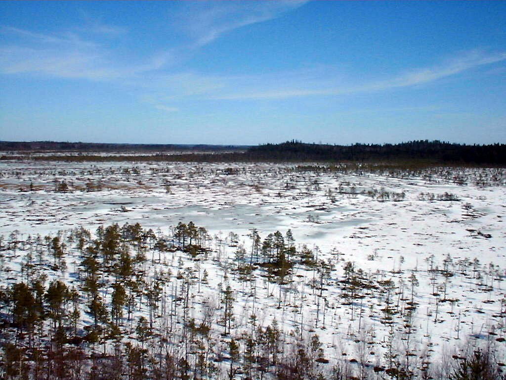 Torronsuo National Park