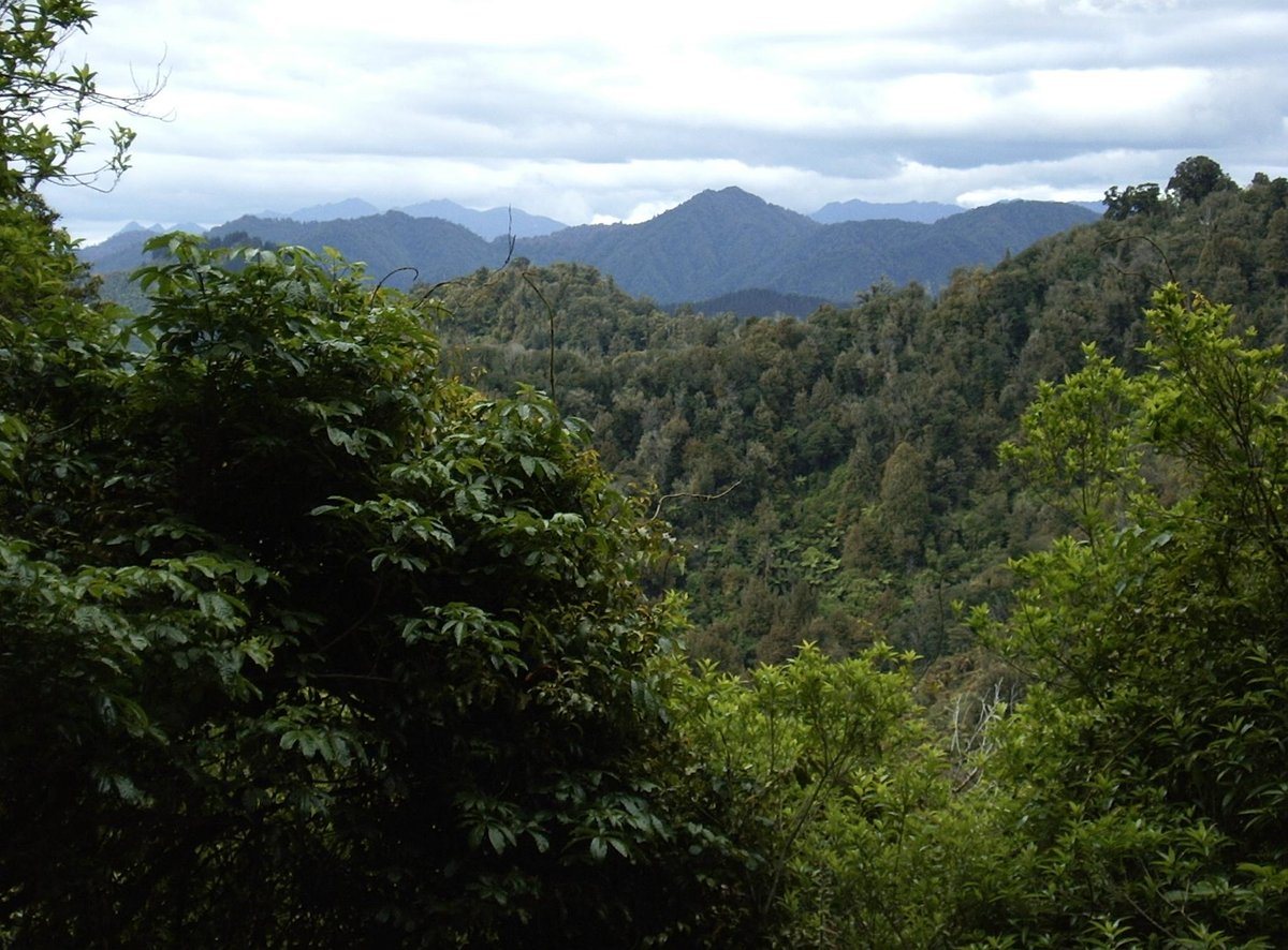 Te Urewera National Park