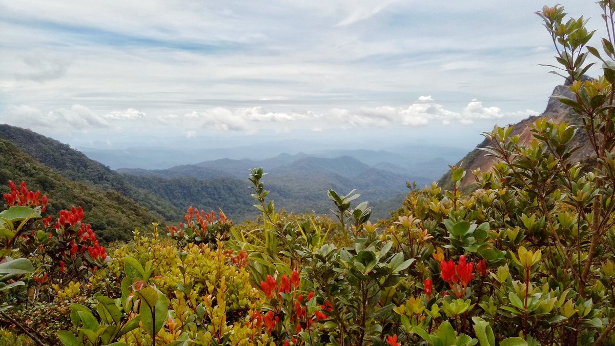Mount Kunyit