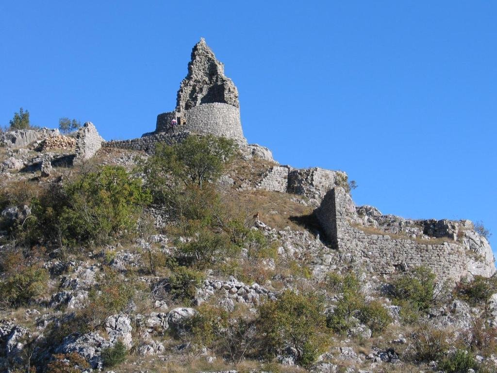 Nutjak