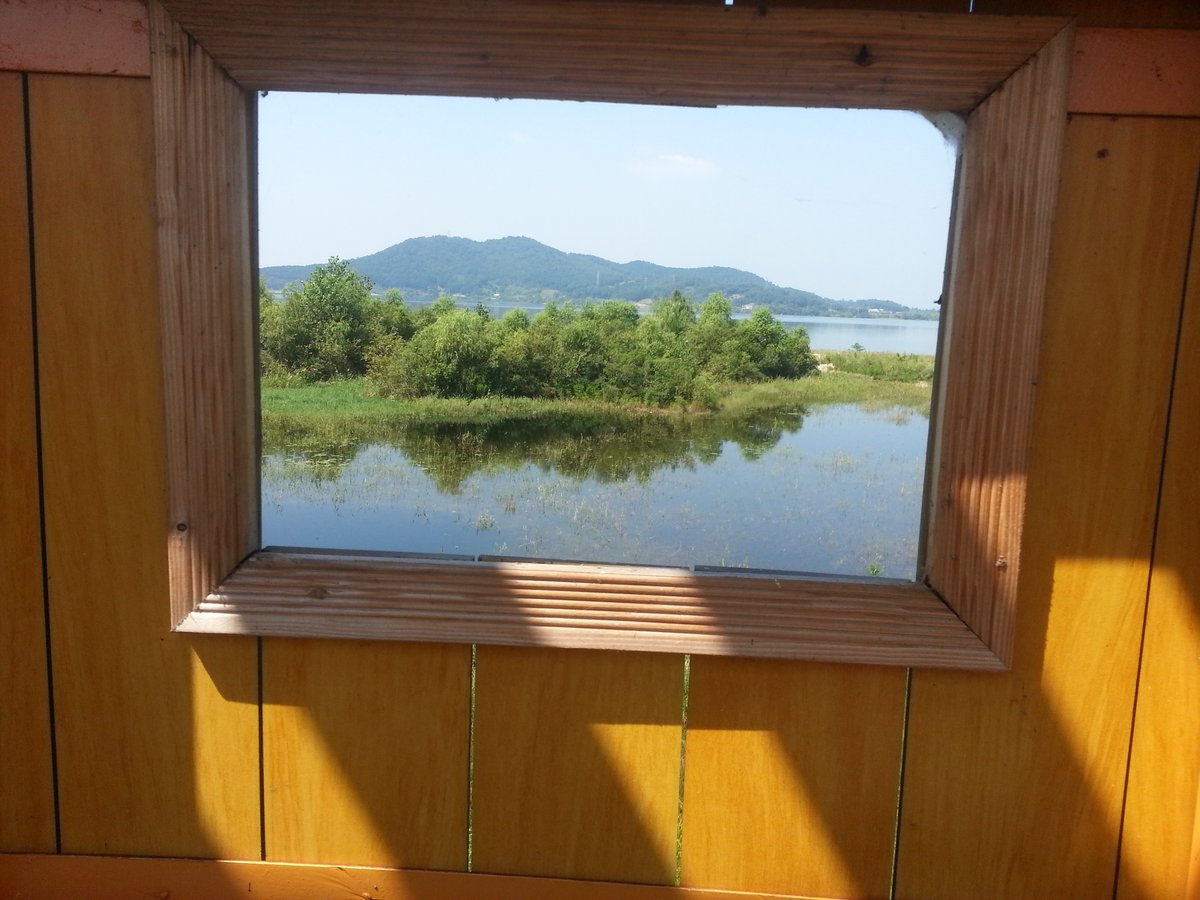 Tapjeong Reservoir