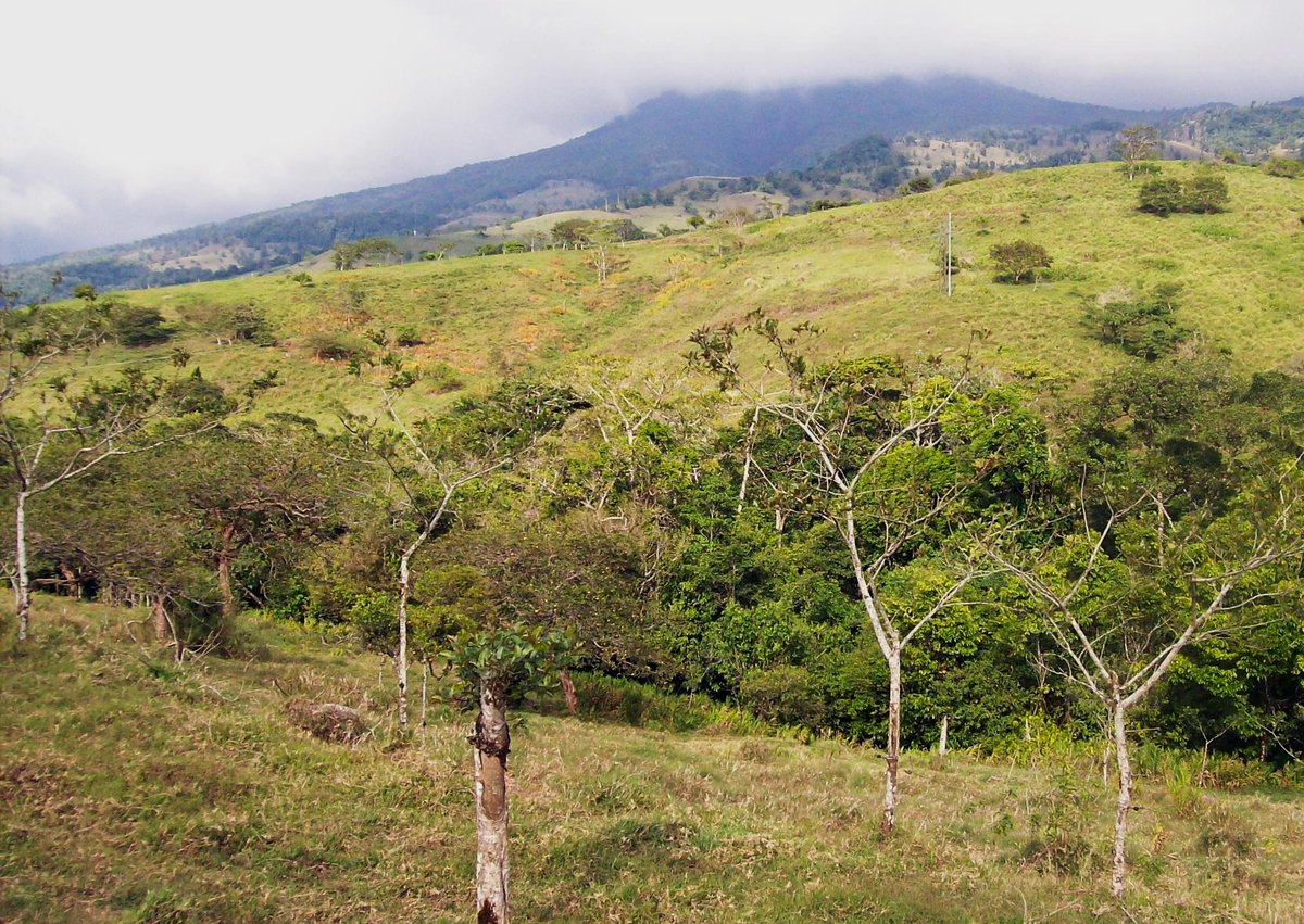 Cerro Platanar