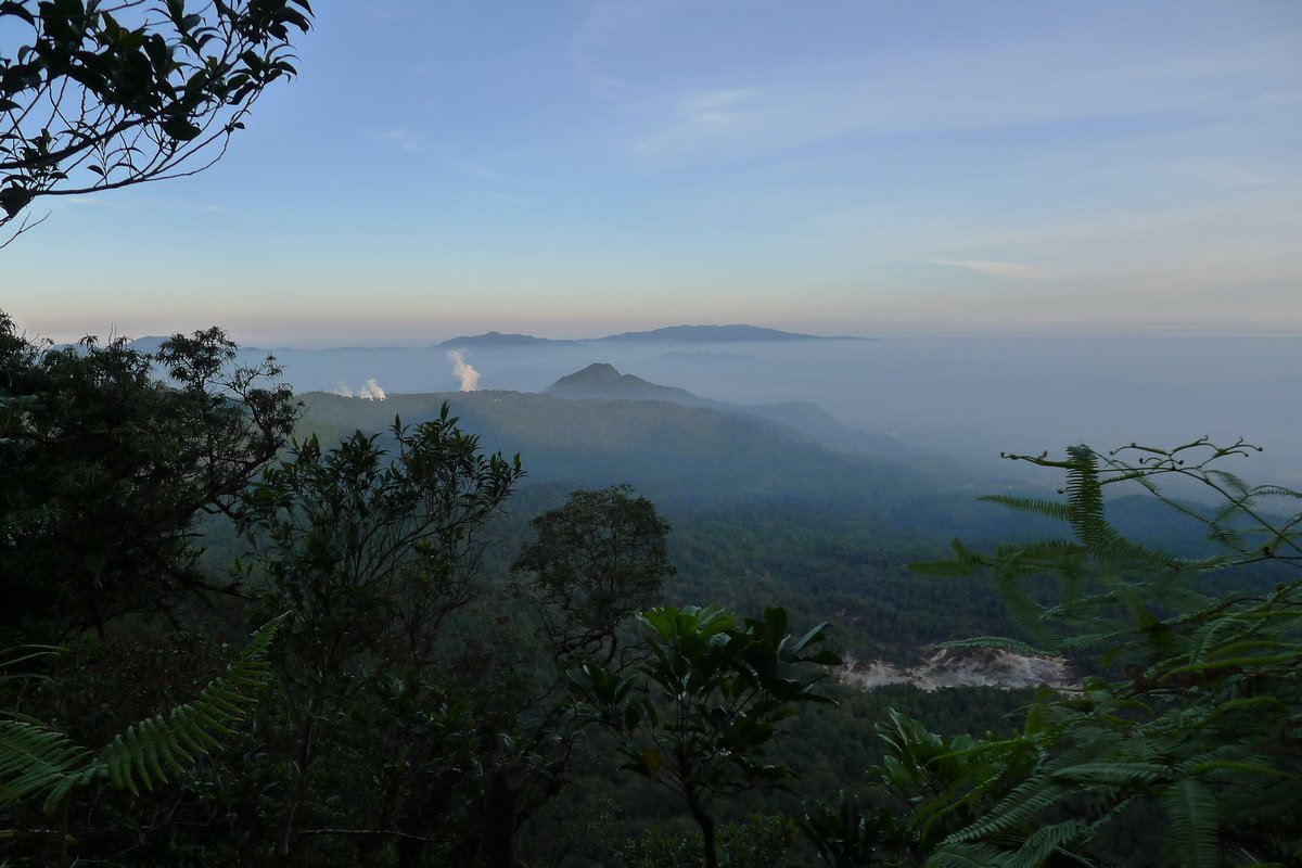 Mount Halimun Salak National Park