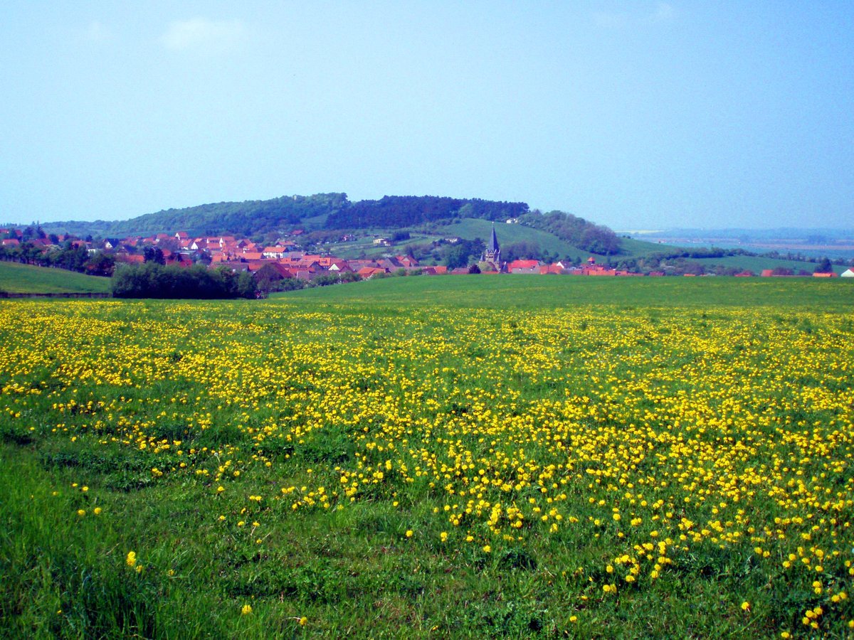 Austberg-Tower