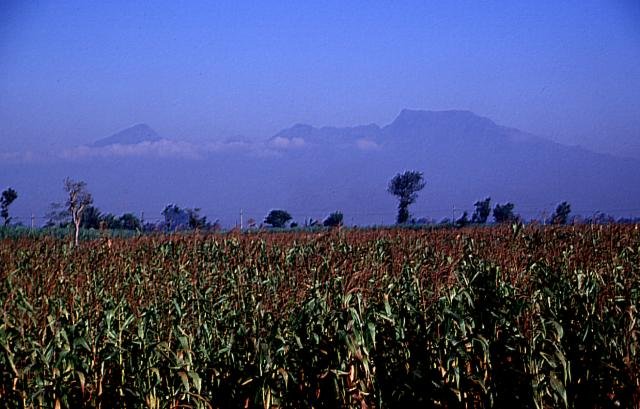 Mount Wilis