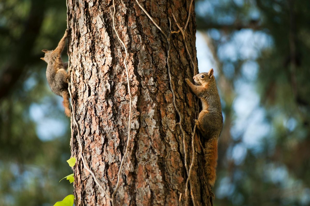Marmaris National Park