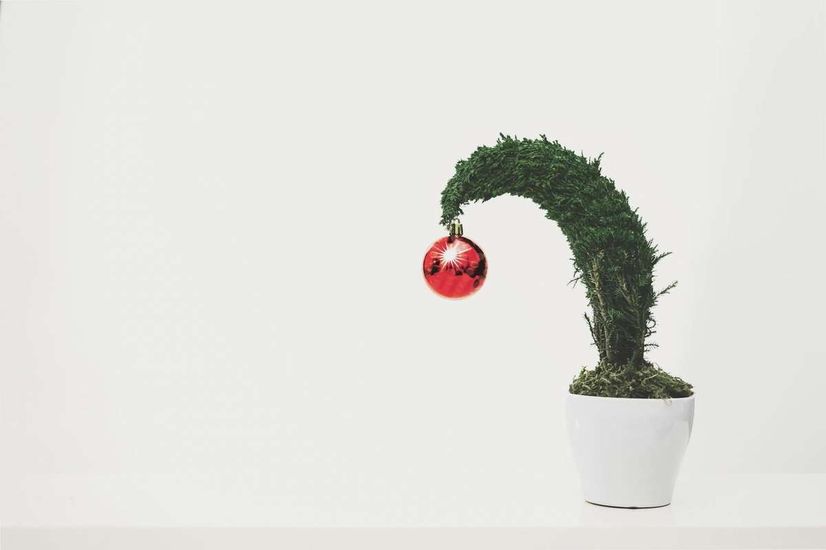 Christmas Pot