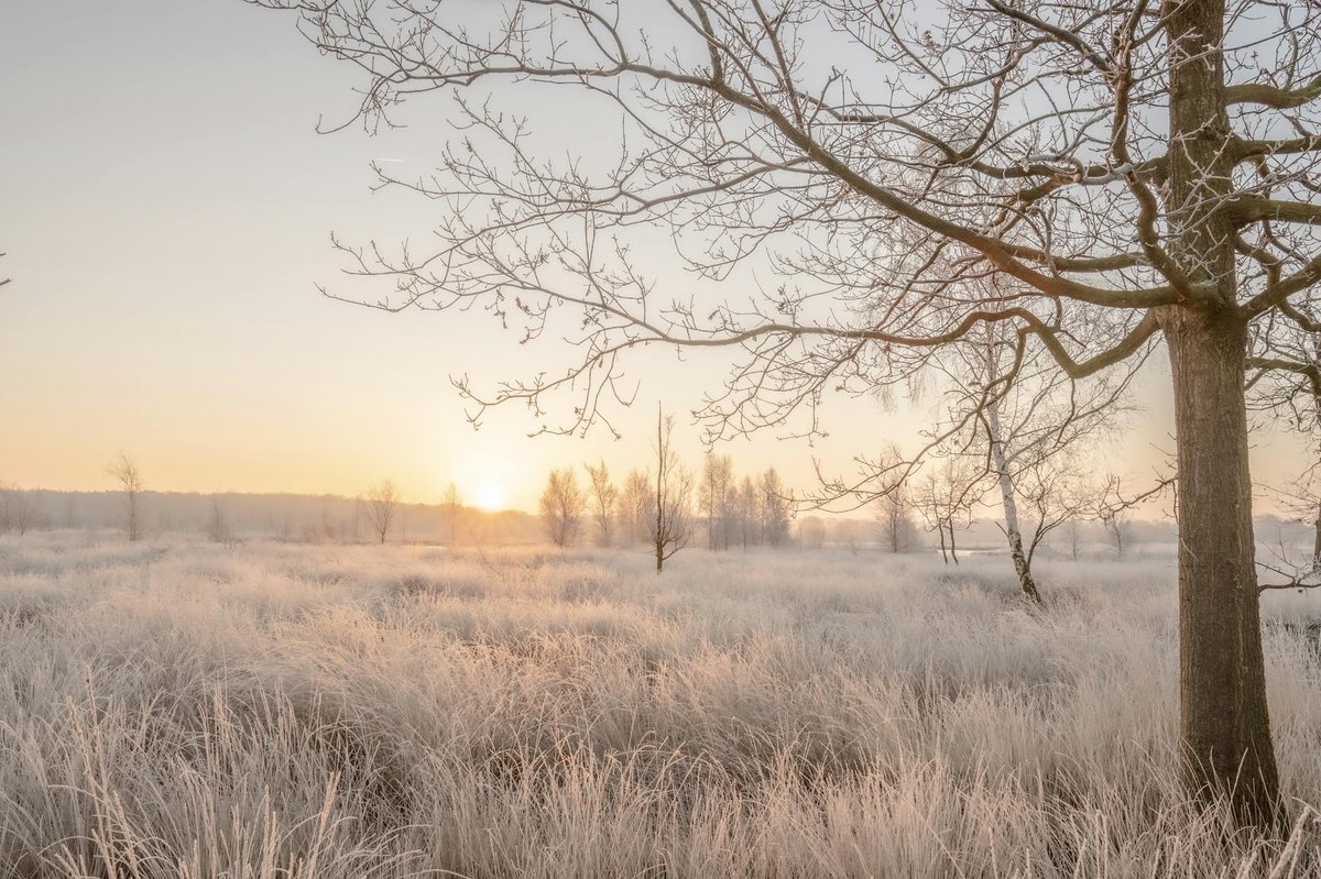 Dwingelderveld National Park