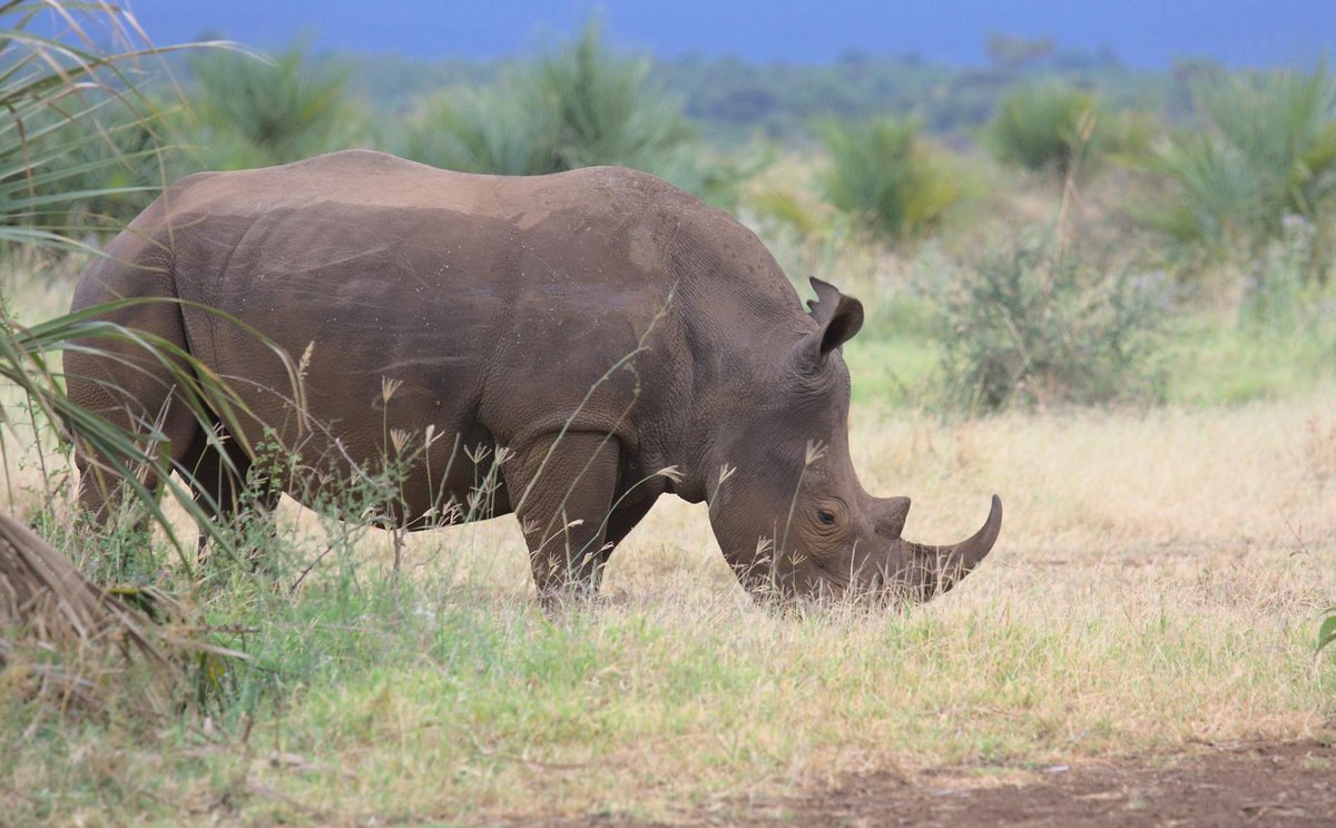 Meru Betiri National Park