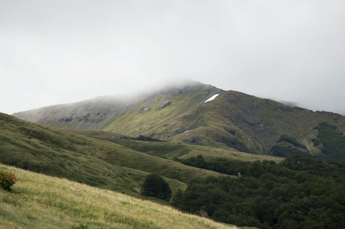 Cerro El Potro