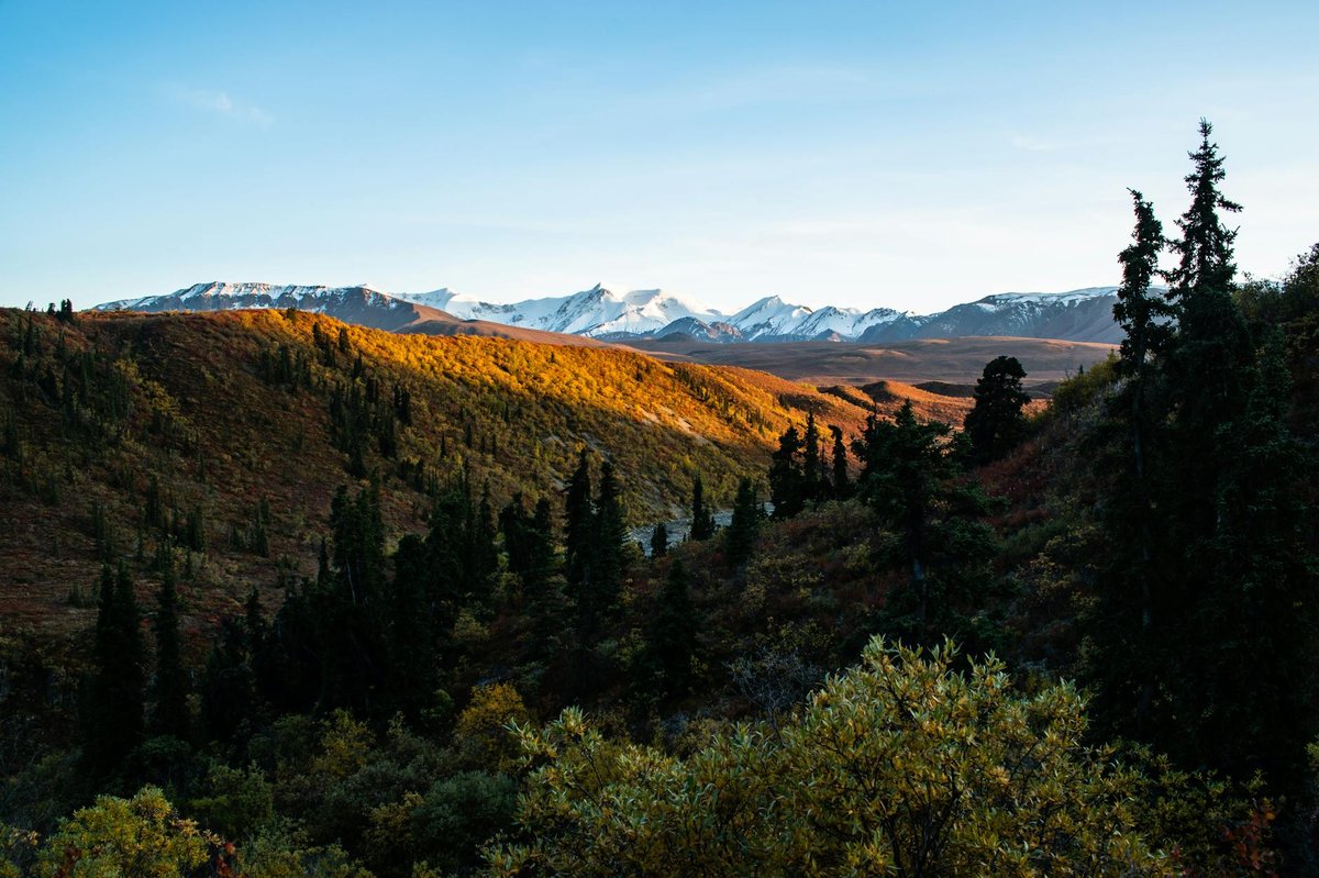 Burwash Glacier