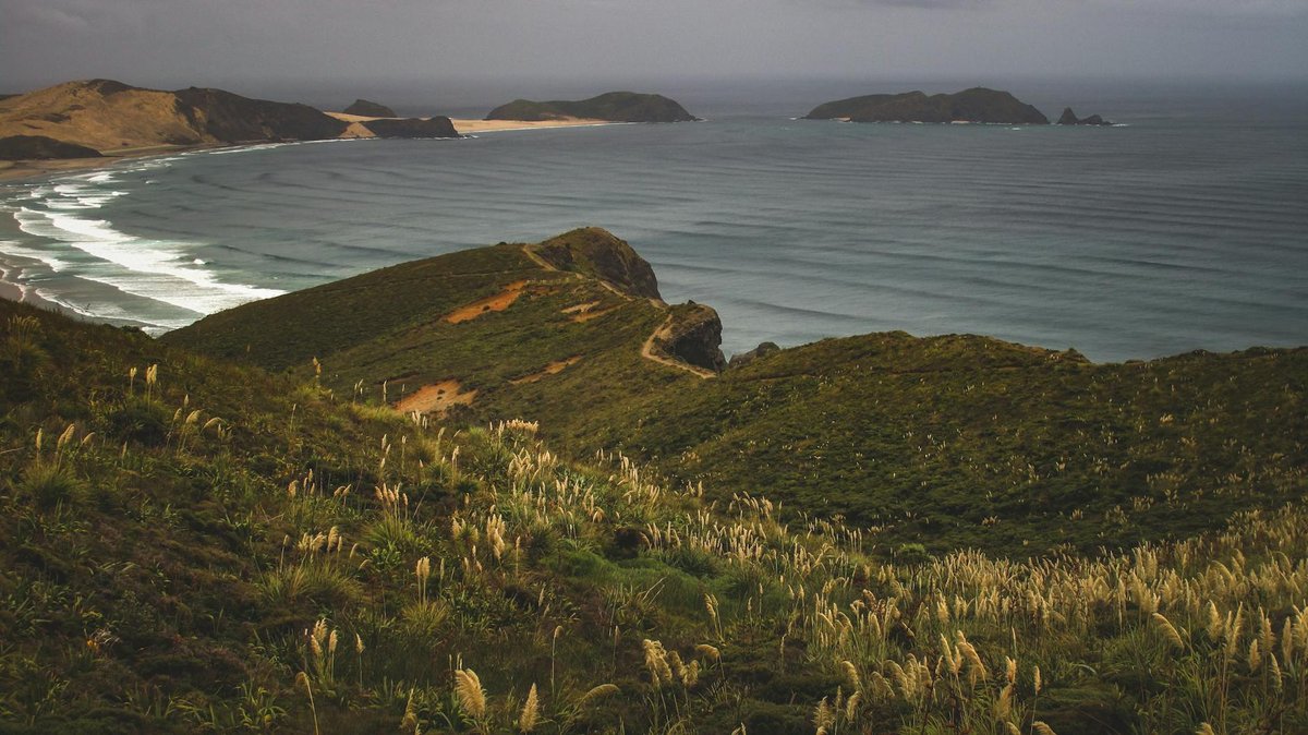 Te Anaapani
