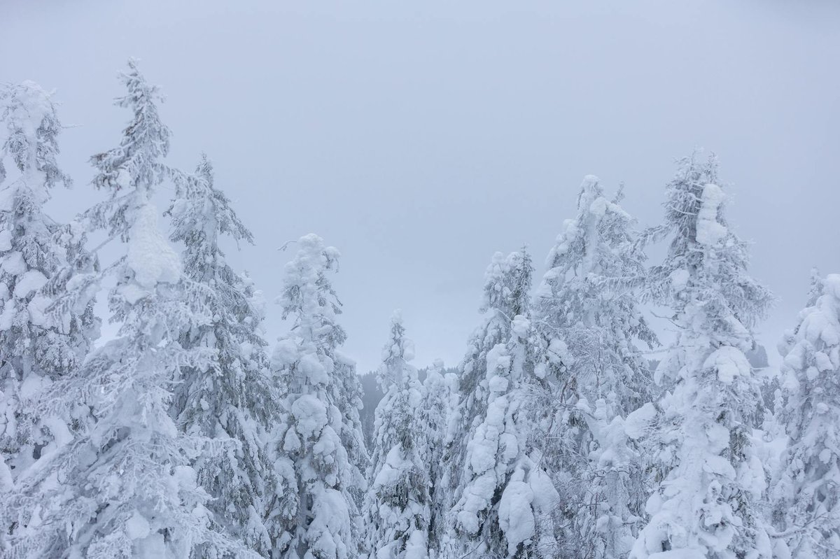 Batsmansberget