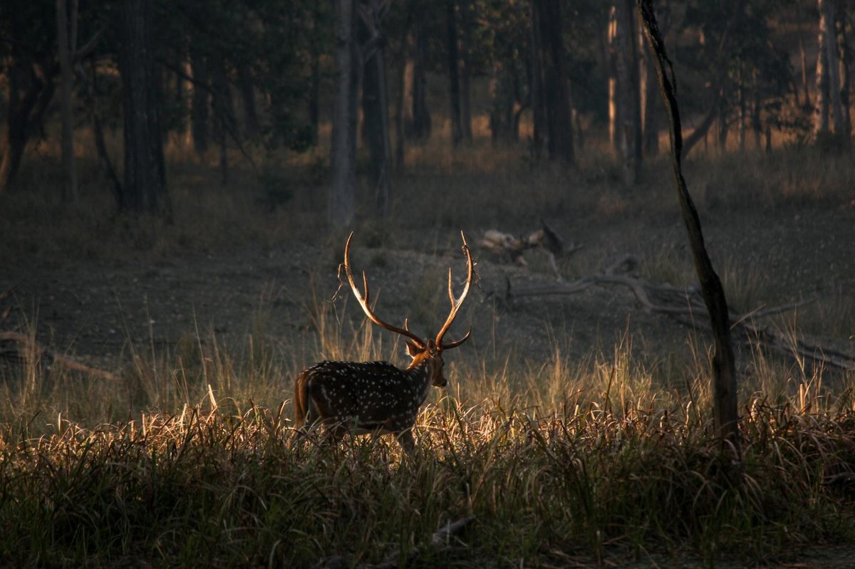 Alto El Chital