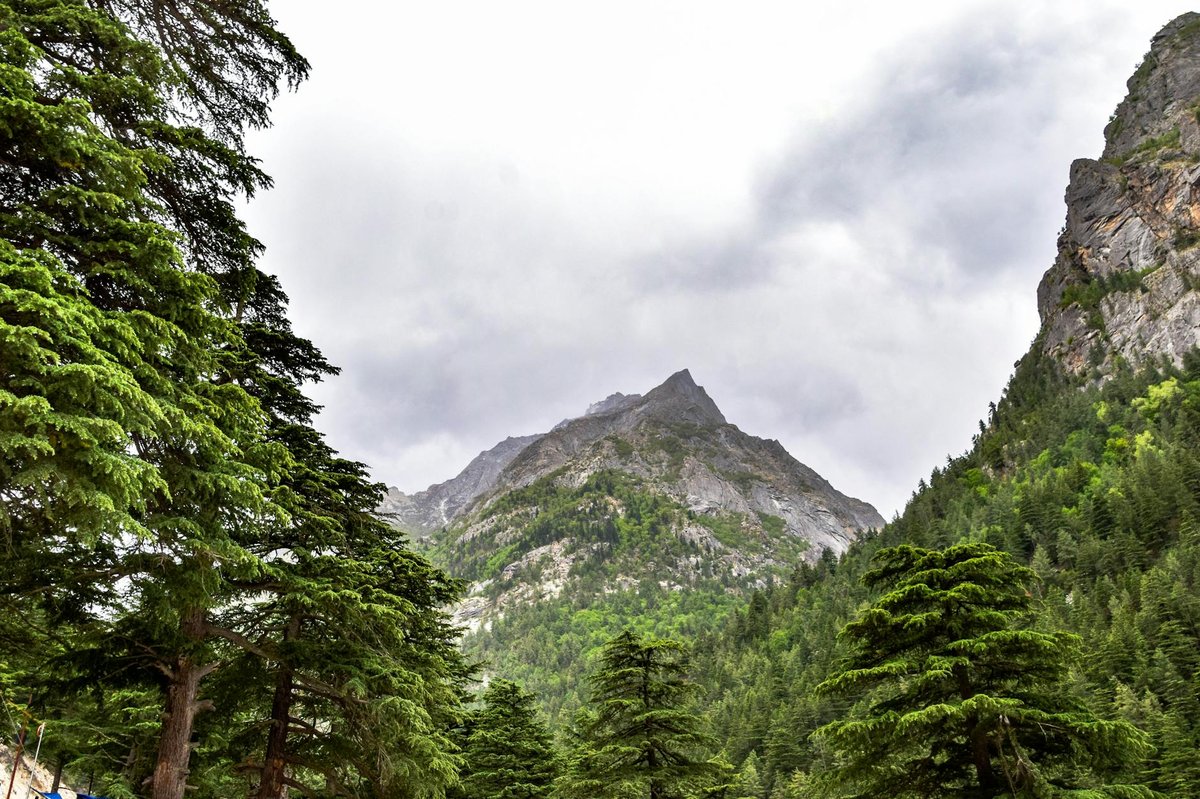 Gangotri Glacier