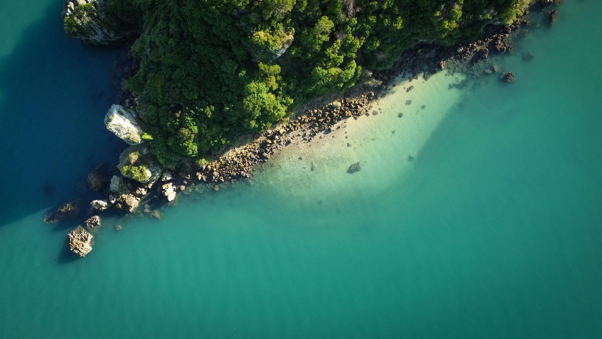 Harihari Beach
