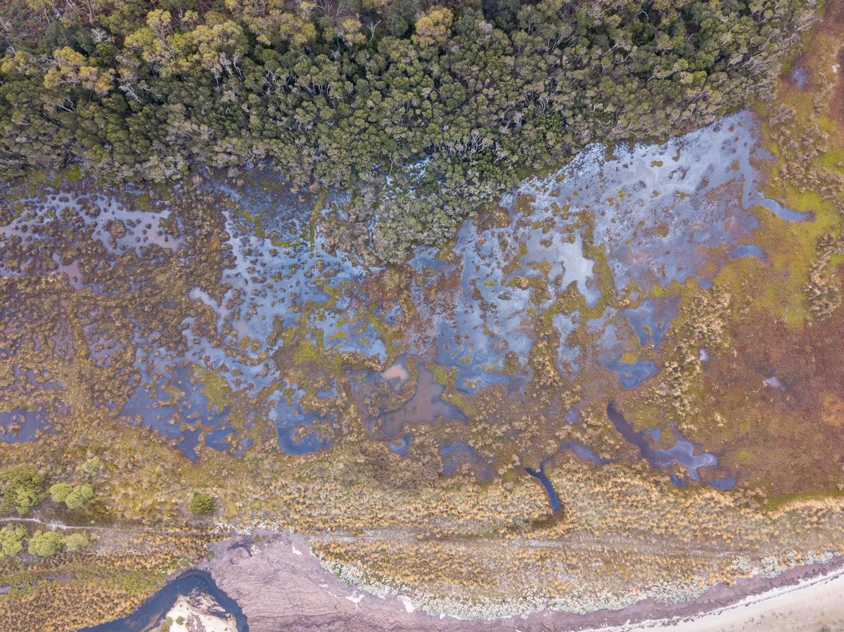 Benger Swamp