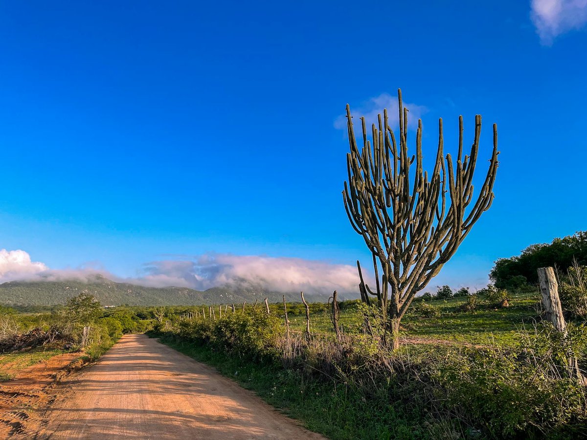 Chapada São José