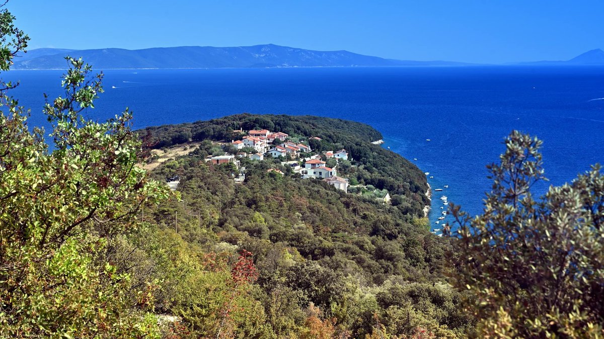 Crvena luka