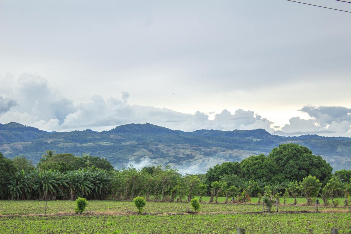 Playa Guayabal