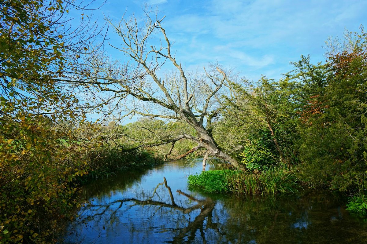 Alton Water