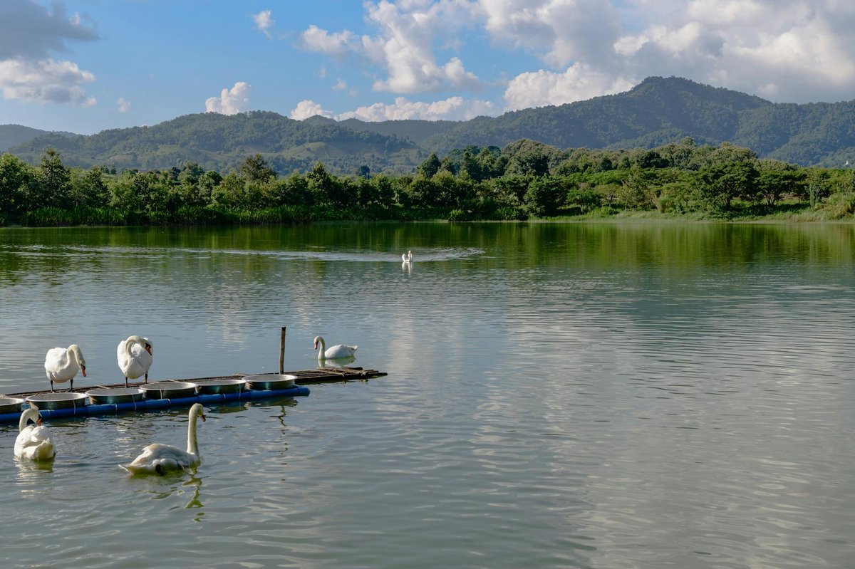 Ang Kep Nam Bung Chiang Khwan