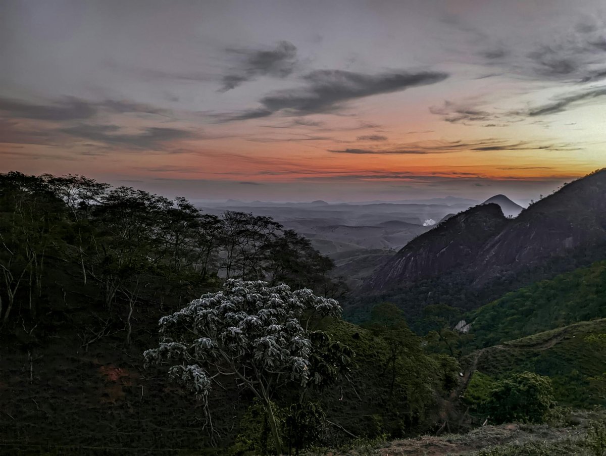 Alto Moirão