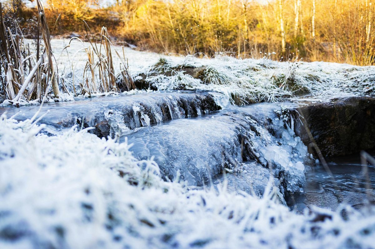 Cold Knap