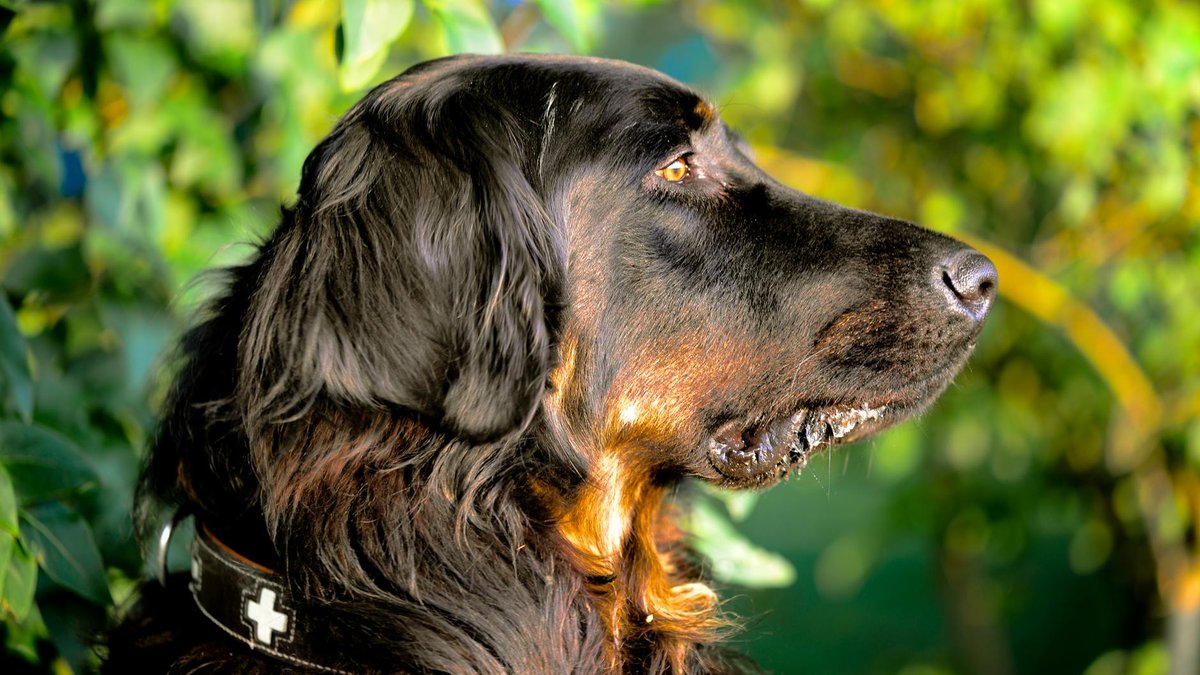 Doi Khun Tan National Park