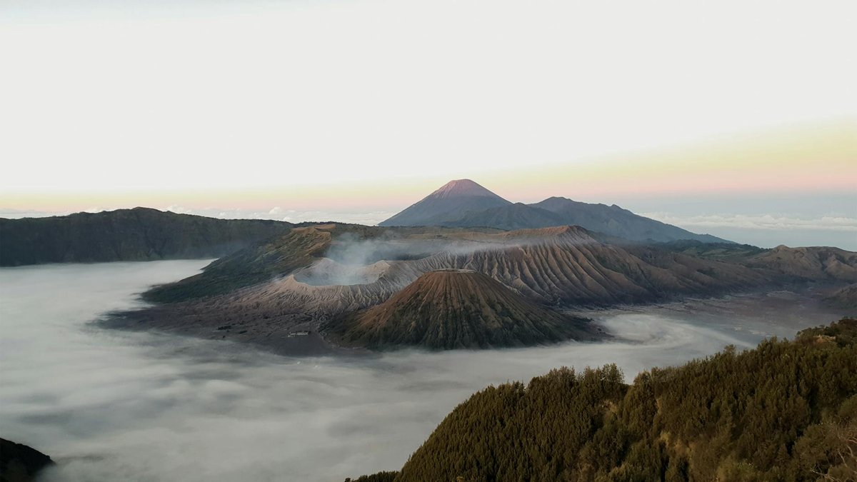 Gunung Leuser National Park