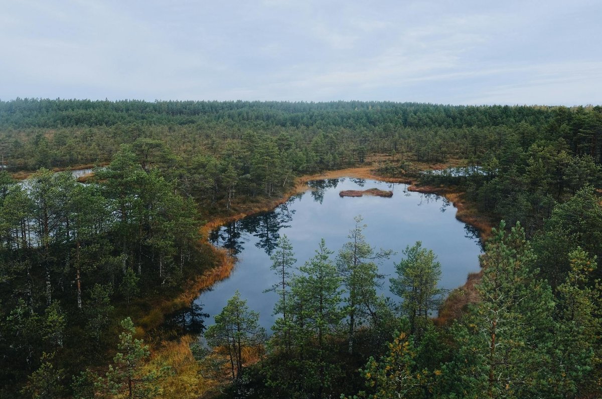 Límni Kiknólakka