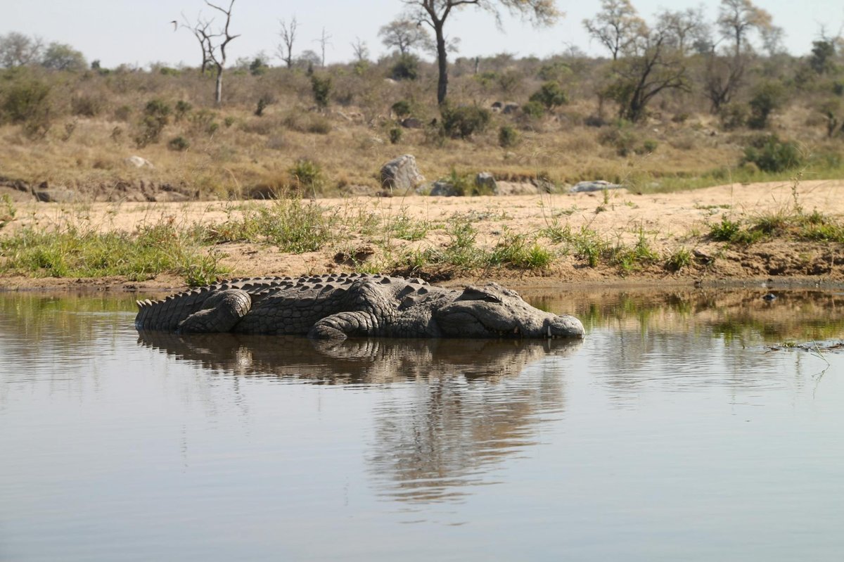 Ugalla River National Park
